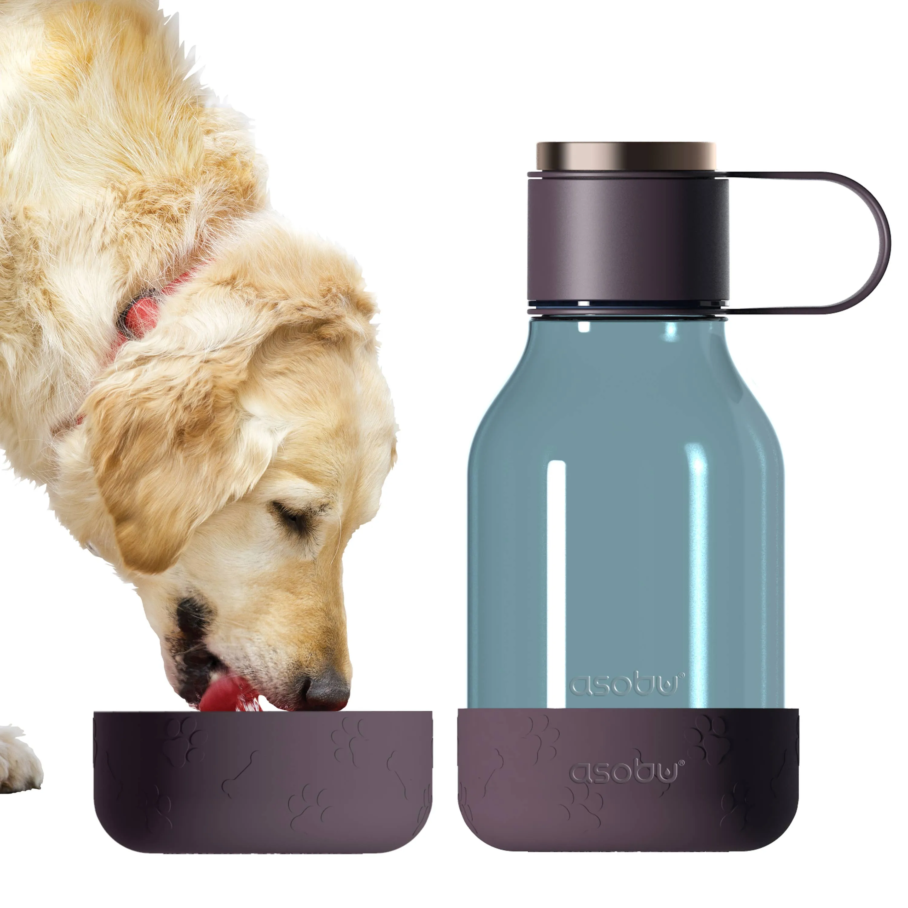 Dog Bowl Water Bottle