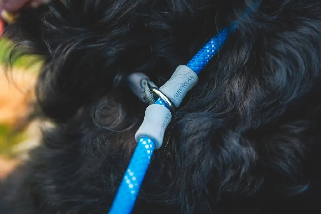 Just-a-Cinch - Dog Lead & Collar in One (Slip Leash)