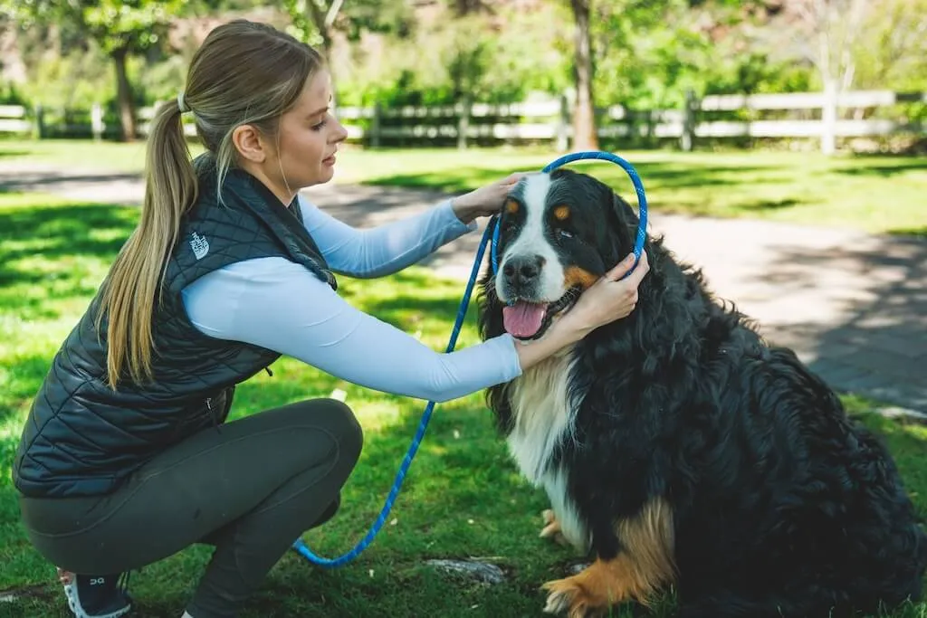 Just-a-Cinch - Dog Lead & Collar in One (Slip Leash)