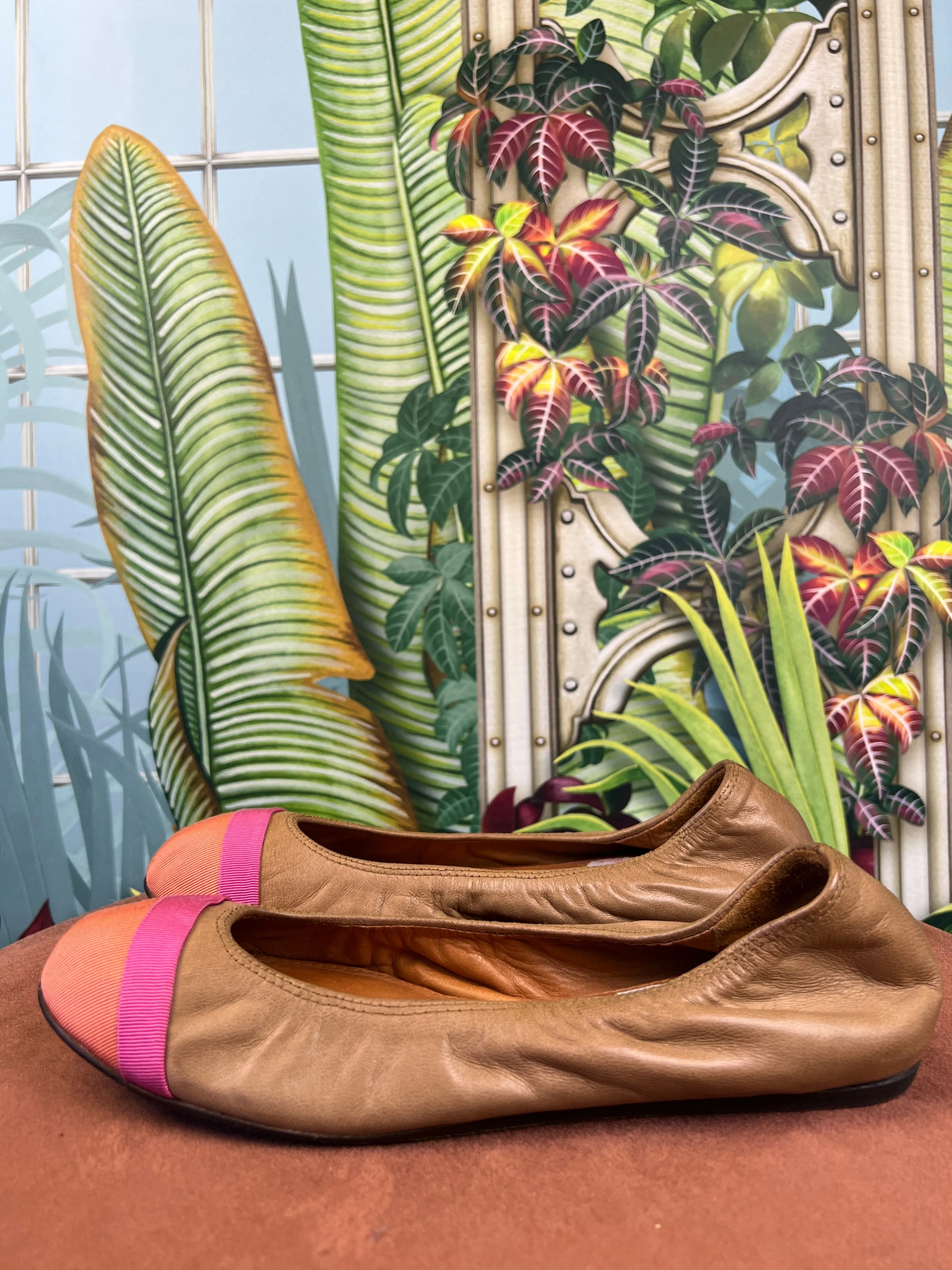 Lanvin ballerina brown/pink