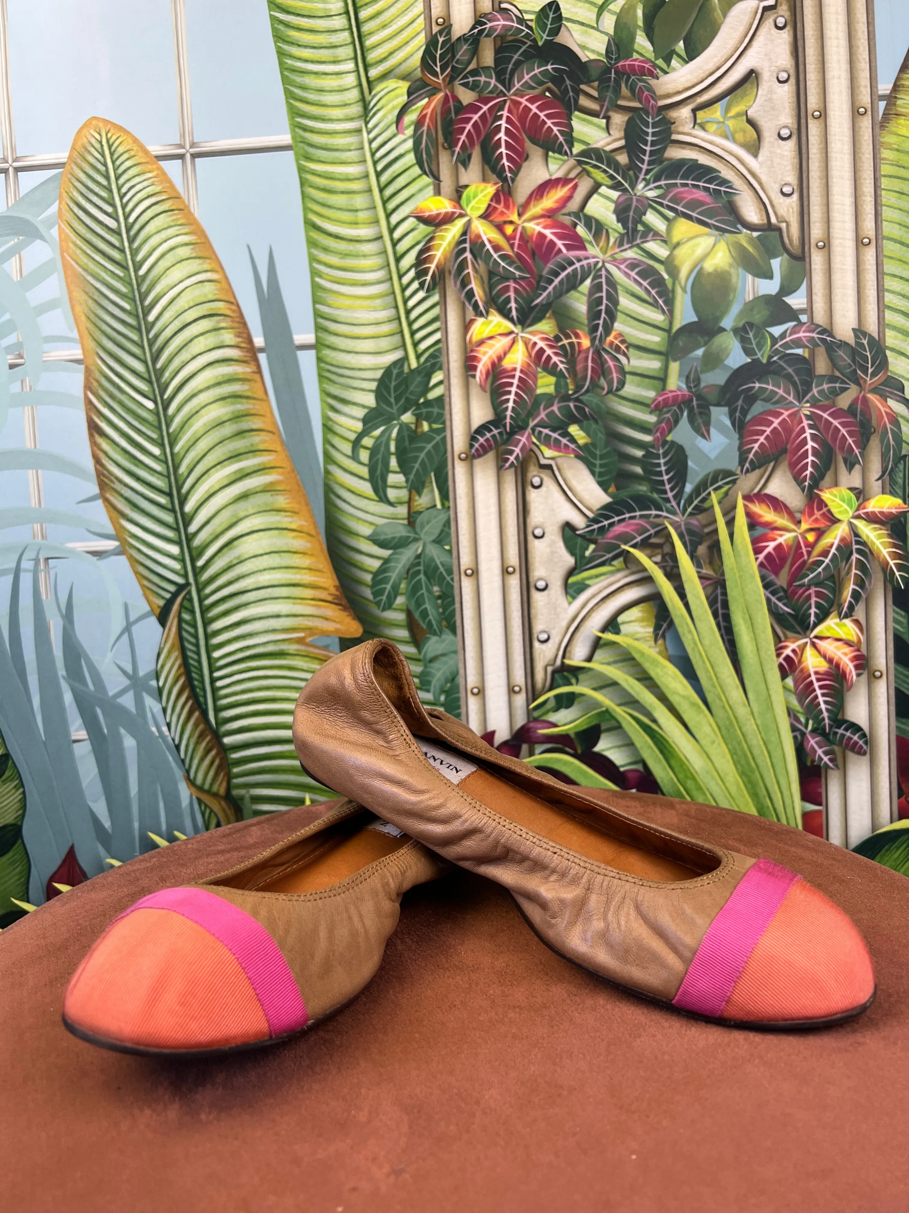 Lanvin ballerina brown/pink