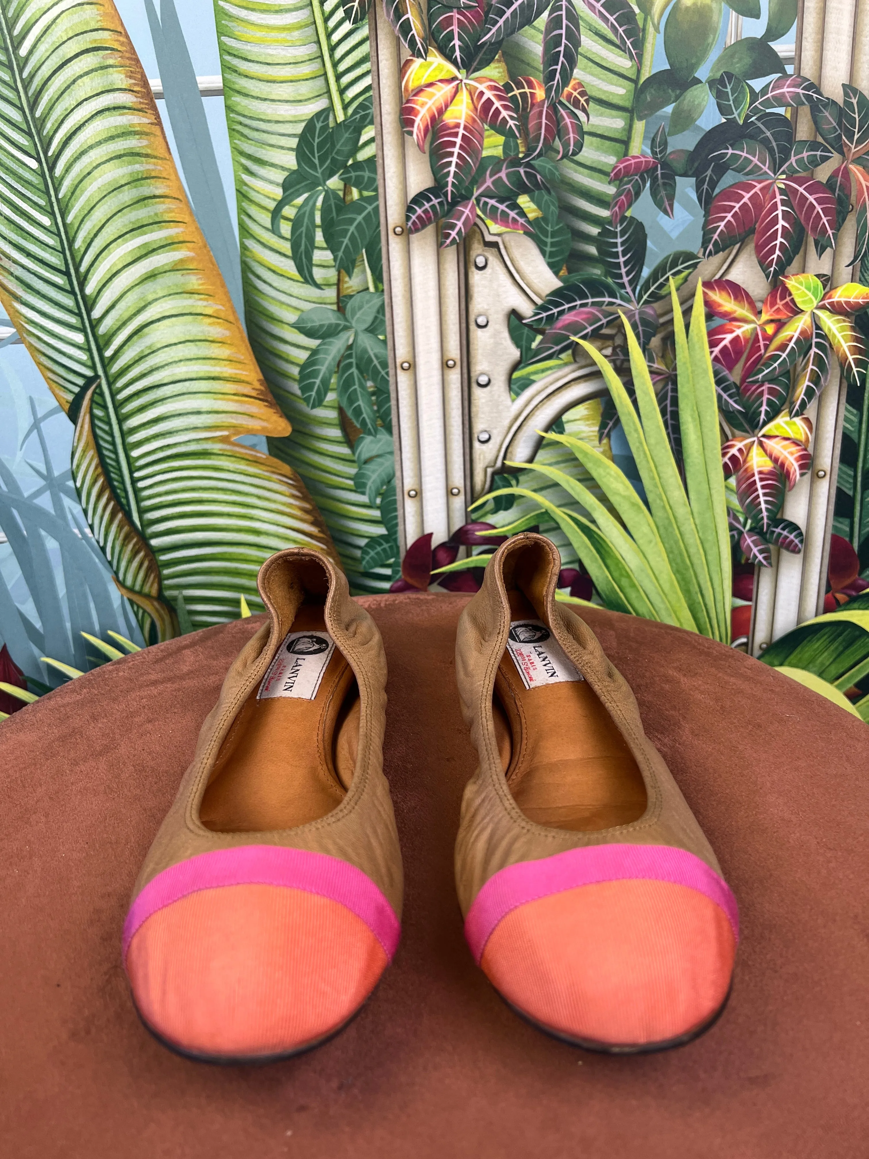 Lanvin ballerina brown/pink