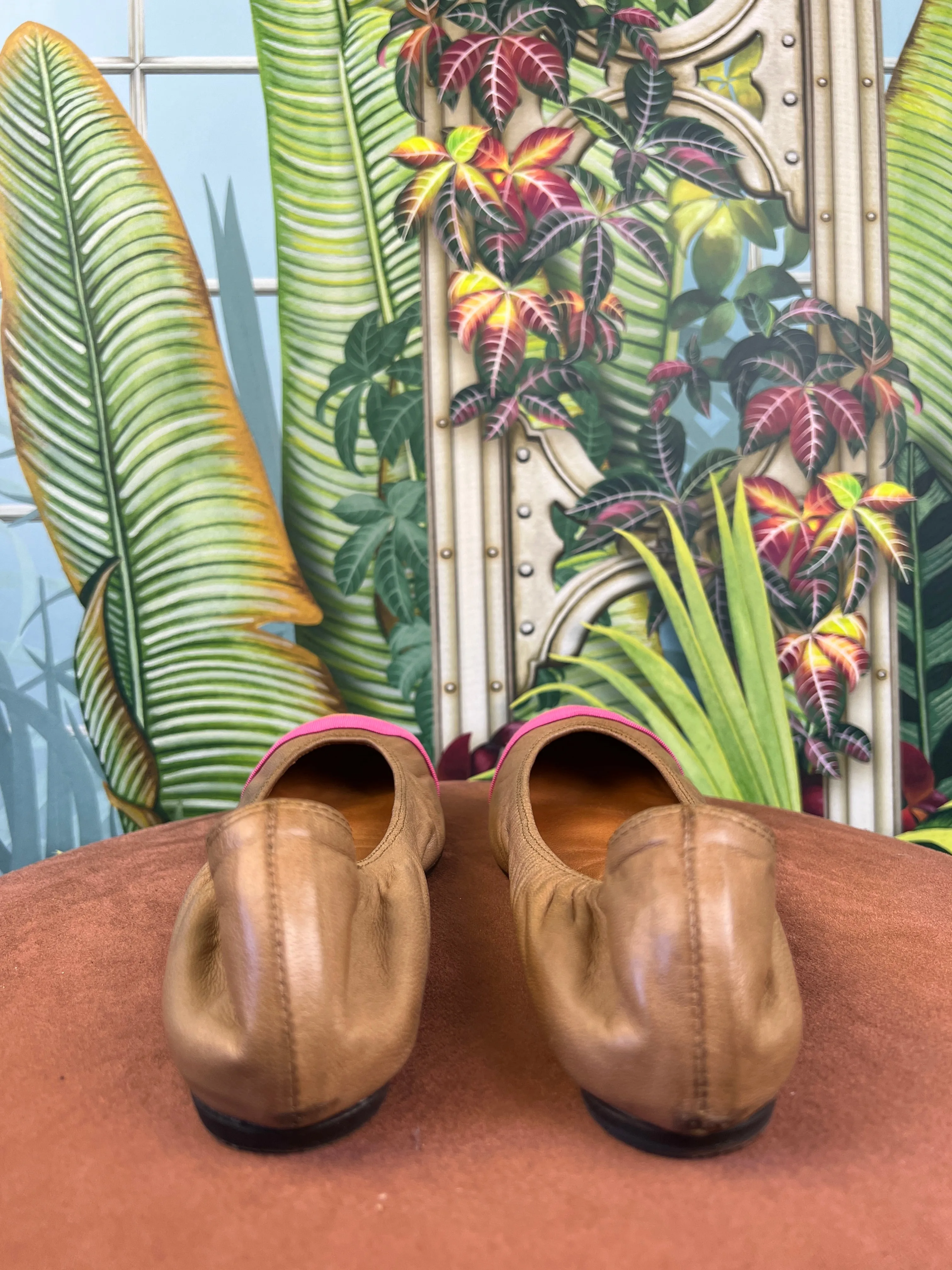 Lanvin ballerina brown/pink