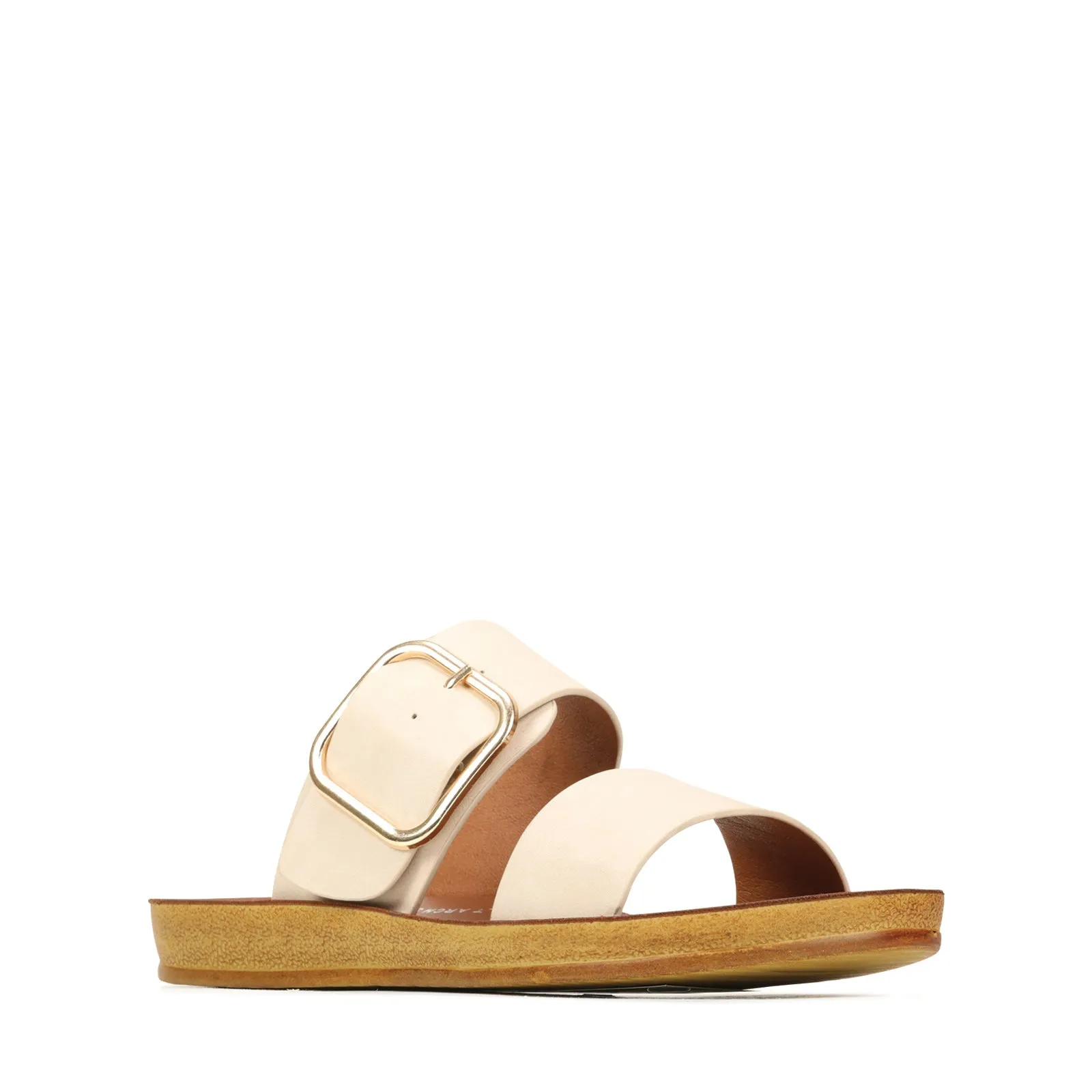 LOS CABOS DOTI OATS