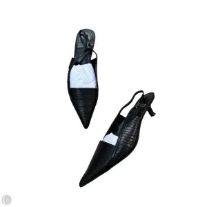 Shoes Heels Kitten By Jeffery Campbell In Black, Size: 10
