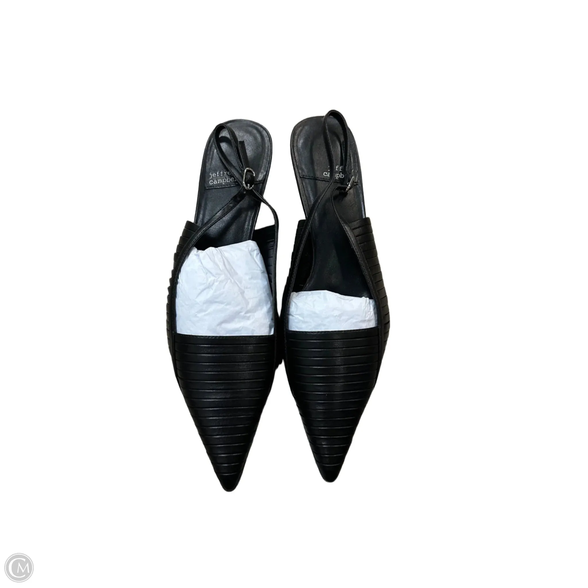 Shoes Heels Kitten By Jeffery Campbell In Black, Size: 10