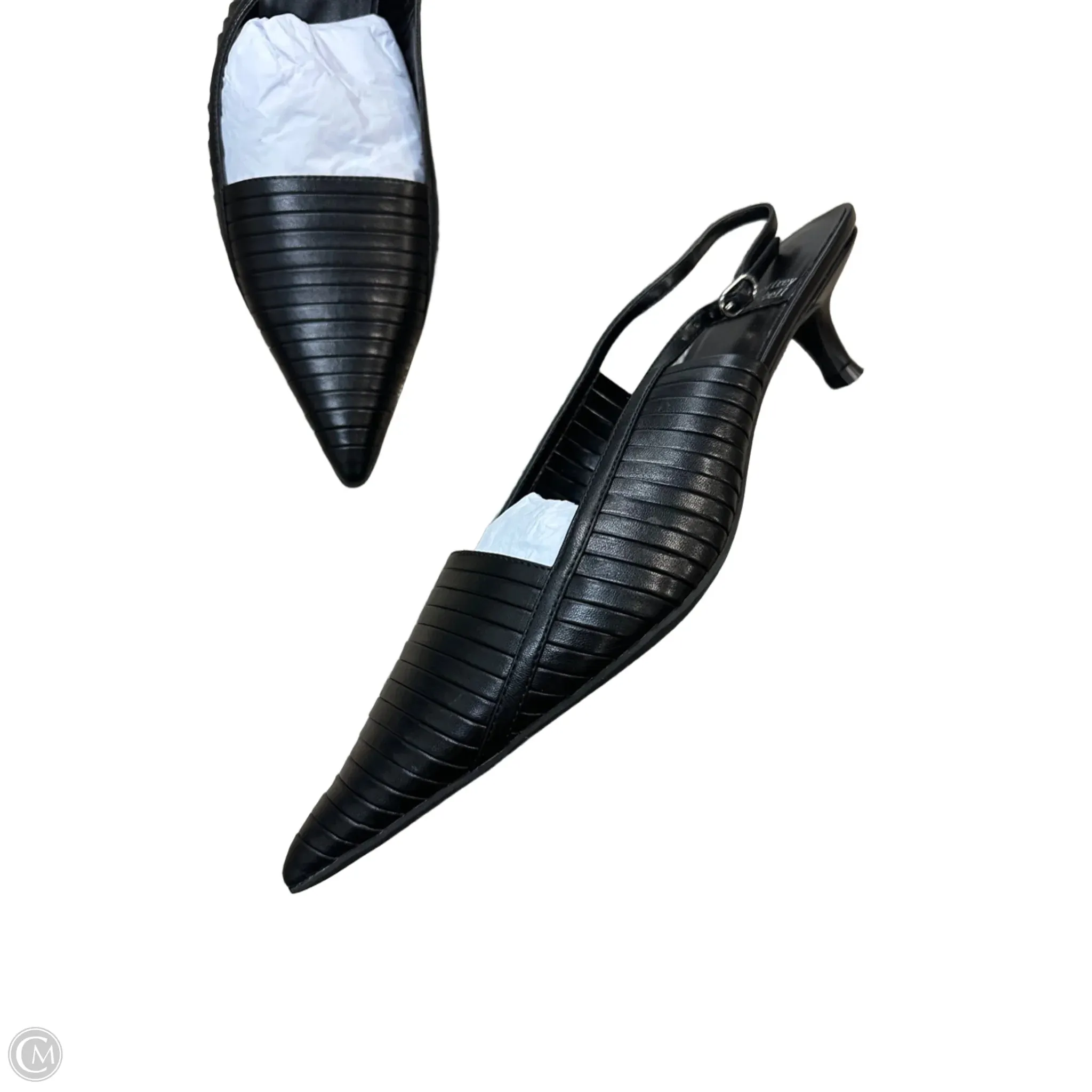 Shoes Heels Kitten By Jeffery Campbell In Black, Size: 10