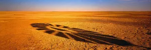 Windmill Shadow