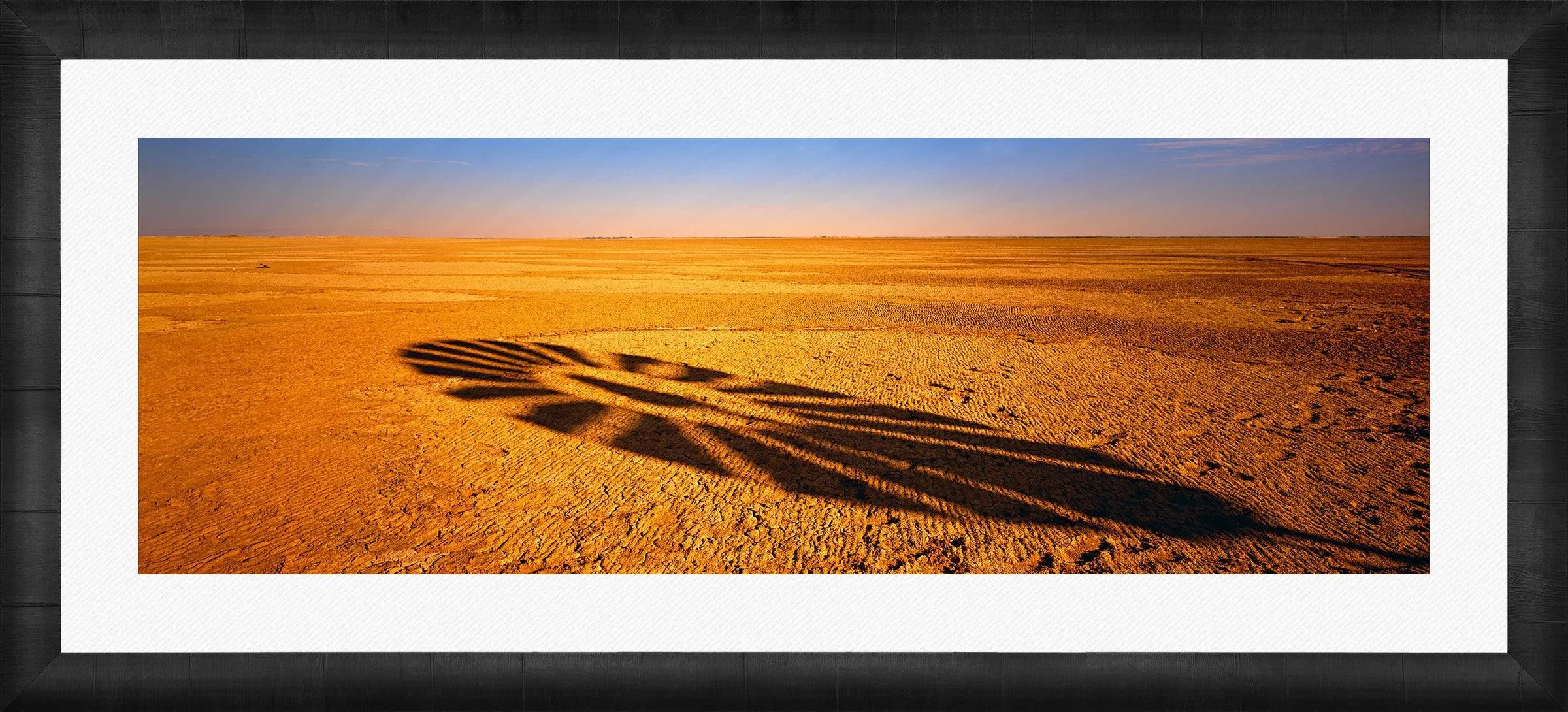 Windmill Shadow