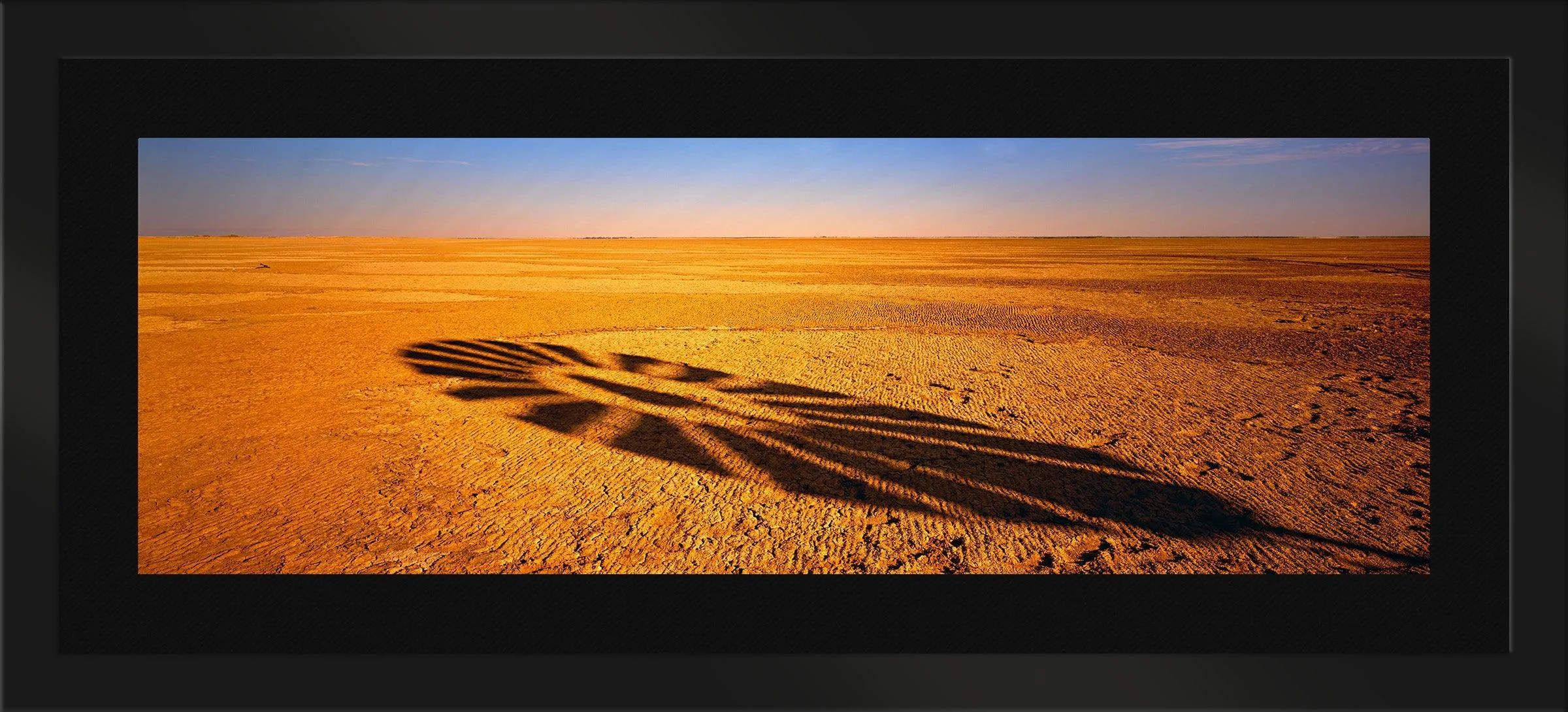 Windmill Shadow