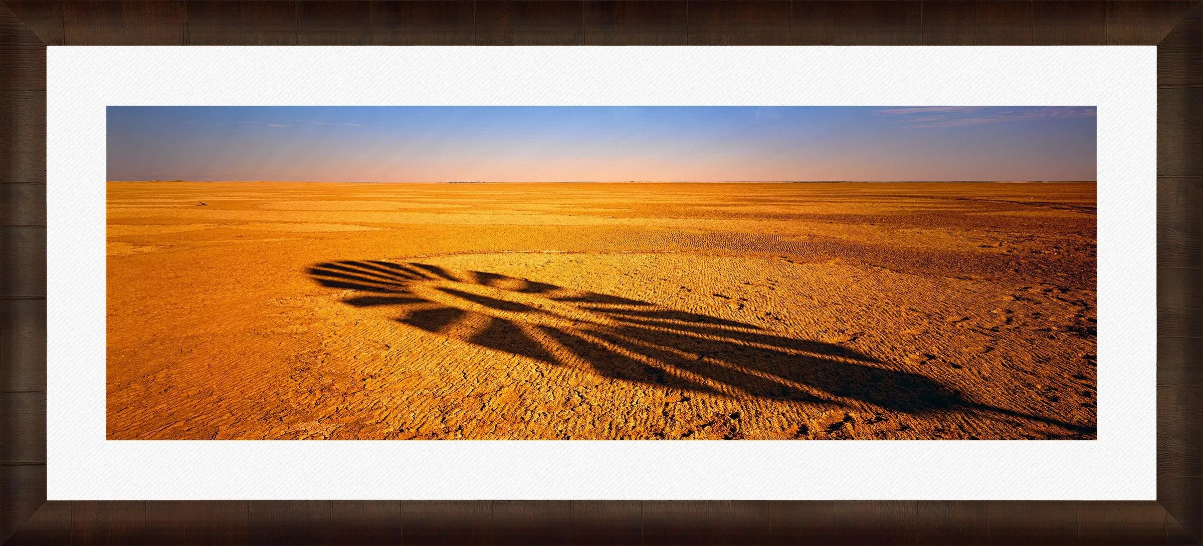 Windmill Shadow