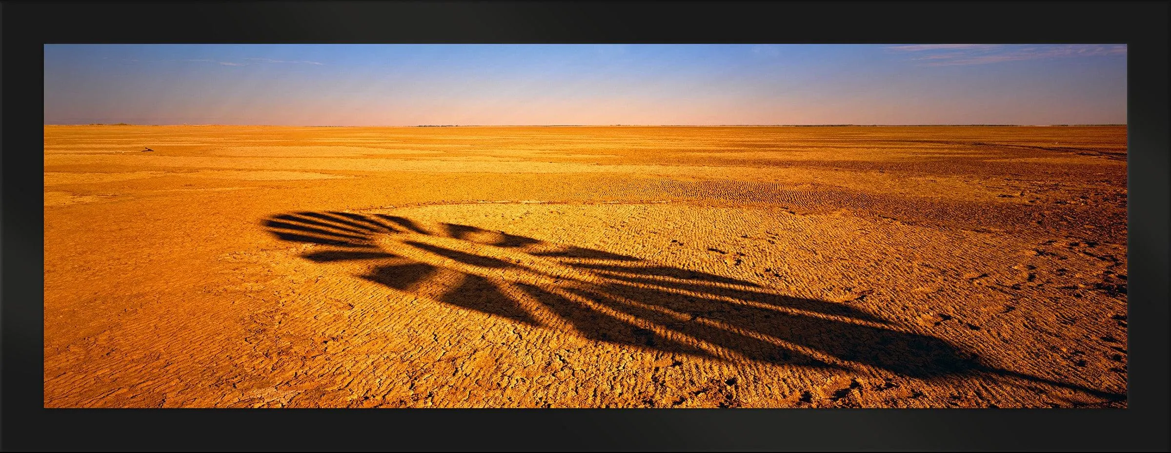 Windmill Shadow