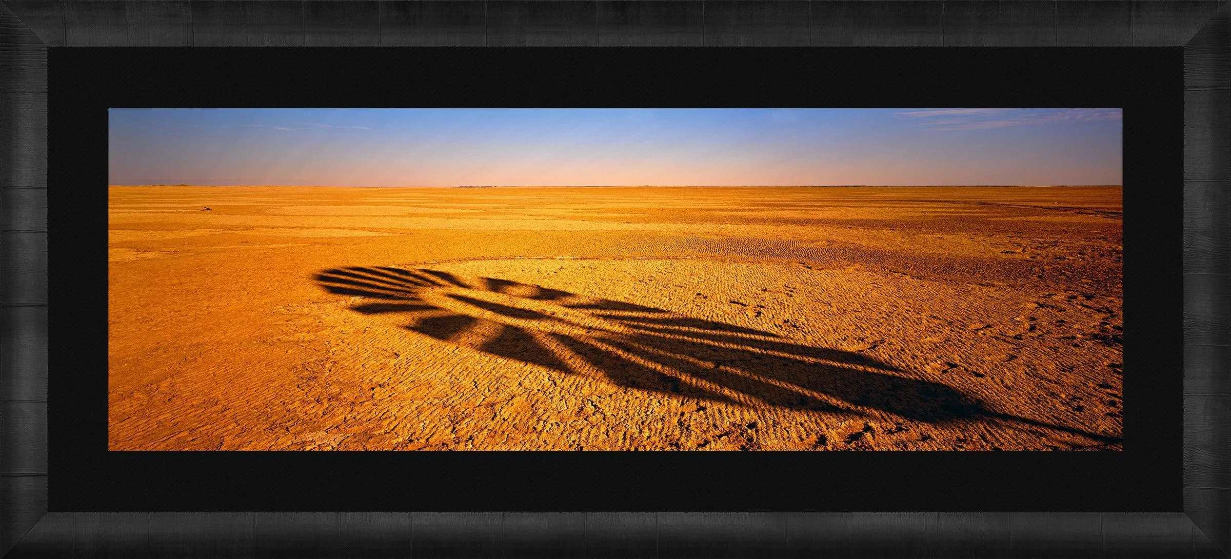 Windmill Shadow