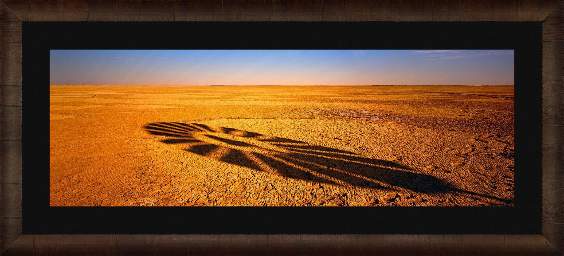 Windmill Shadow