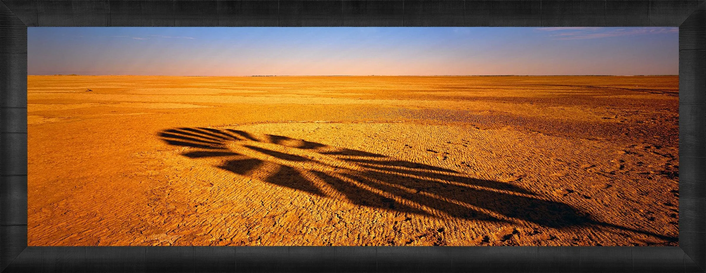 Windmill Shadow